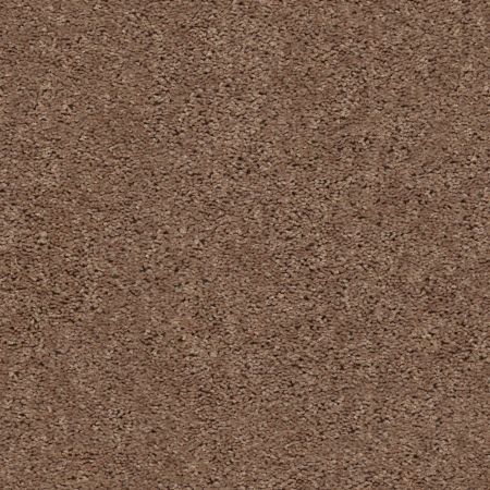 Shaw Floors Value Collections Break Away (s) Net Clay