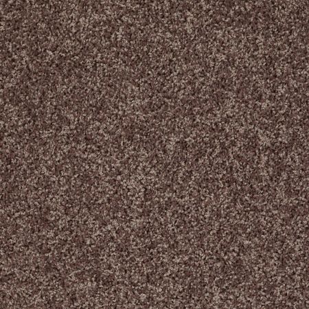 Shaw Floors Value Collections Break Away (s) Net Mocha