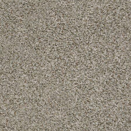 Shaw Floors Value Collections Break Away (t) Net Almond