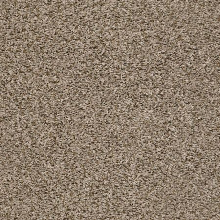 Shaw Floors Value Collections Break Away (t) Net Blond Wood