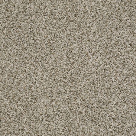 Shaw Floors Value Collections Break Away (t) Net Natural Ivory