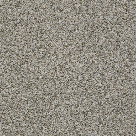 Shaw Floors Value Collections Break Away (t) Net Exposed Beam