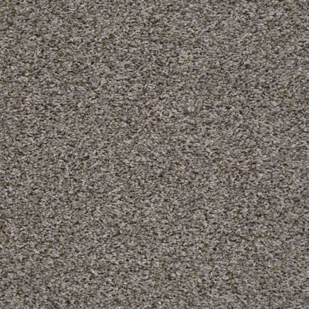Shaw Floors Value Collections Break Away (t) Net Washed Suede