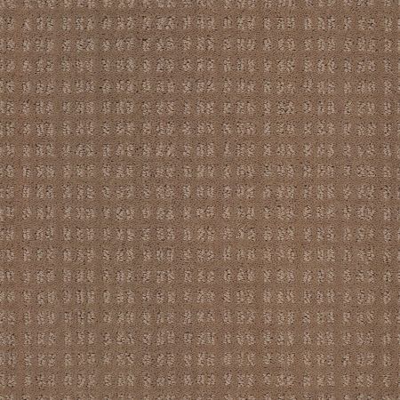 Shaw Floors Foundations Essential Now Raw Wood