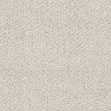 Shaw Floors Foundations Formalize Winters Dawn