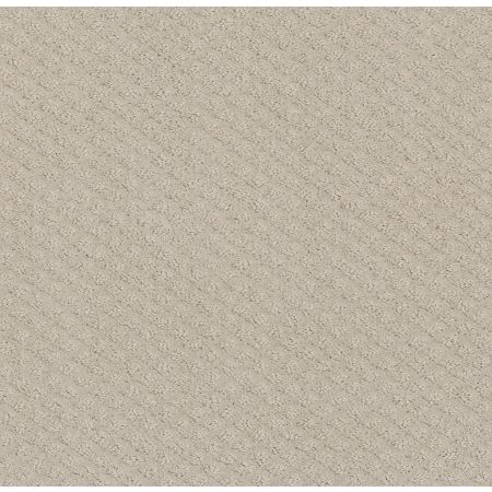 Shaw Floors Foundations Formalize Washed Linen