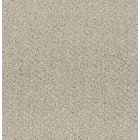 Shaw Floors Foundations Formalize Fossil Path