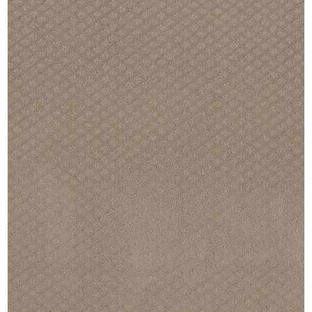 Shaw Floors Foundations Formalize Desert View