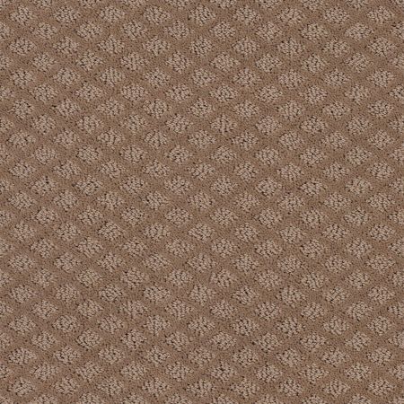 Shaw Floors Foundations Formalize Raw Wood