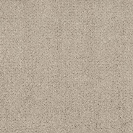 Shaw Floors Foundations Mainstay Fossil Path