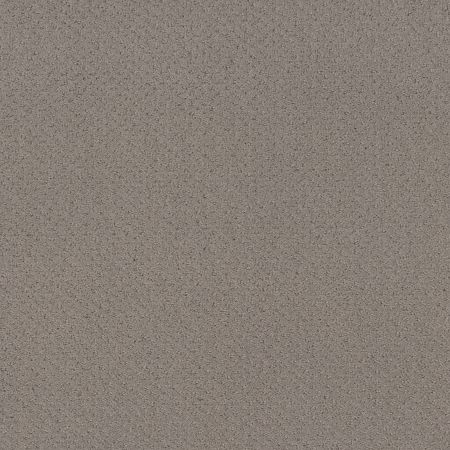 Shaw Floors Foundations Mainstay River Run