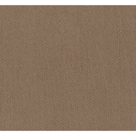 Shaw Floors Foundations Mainstay Raw Wood