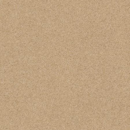 Shaw Floors Value Collections Cashmere Classic III Net Manilla