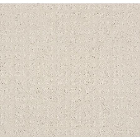 Shaw Floors Foundations Essential Now Net Washed Linen