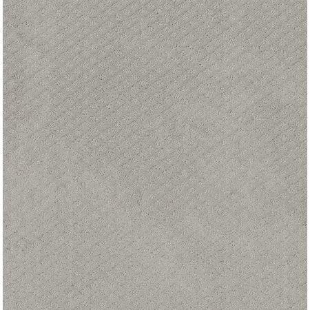 Shaw Floors Foundations Formalize Net Silver Lining