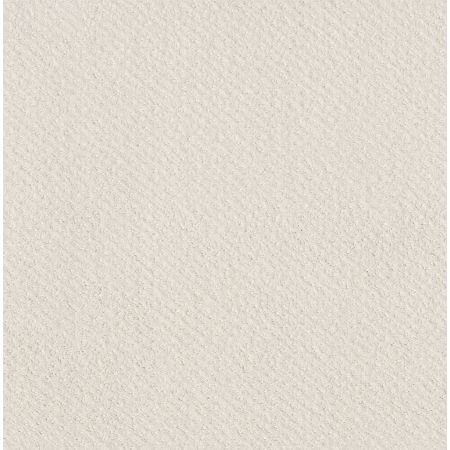 Shaw Floors Foundations Mainstay Net Serene Still