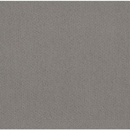 Shaw Floors Foundations Mainstay Net Grey Fox