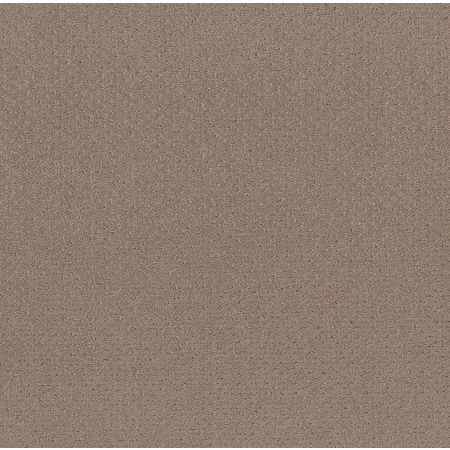 Shaw Floors Foundations Mainstay Net Desert View