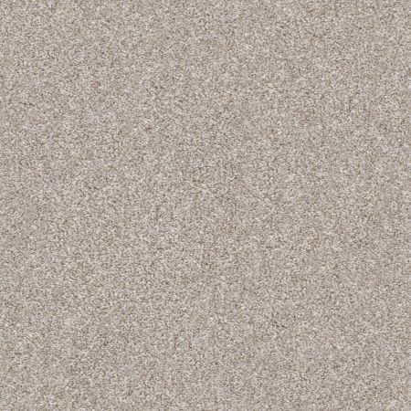 Shaw Floors Just Right I Winter Dunes