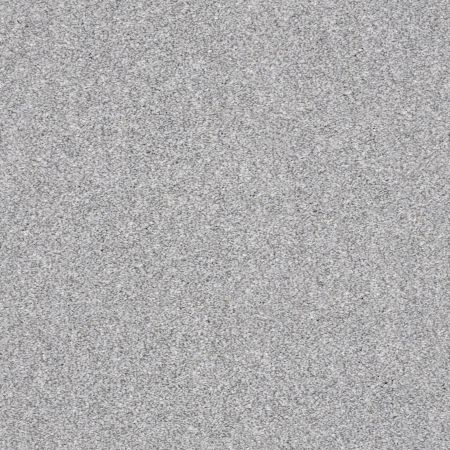 Shaw Floors Just Right I Sterling