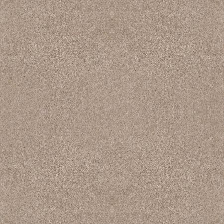 Shaw Floors Captured I Sand Castle