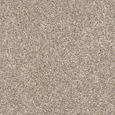 Shaw Floors Captured II Neutral Ground