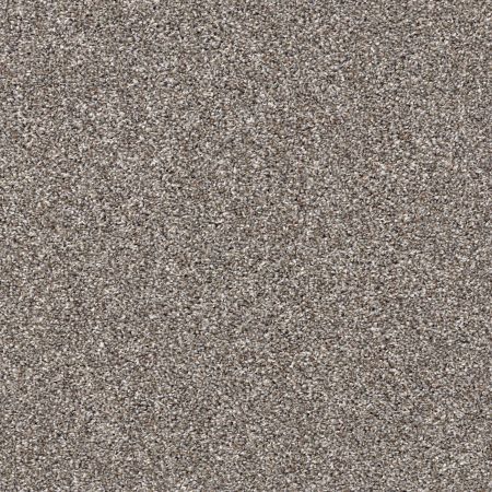 Shaw Floors Captured II Tree House