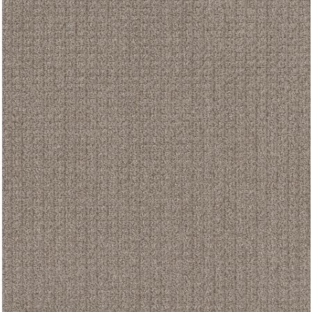 Shaw Floors Simply The Best Stay Fit Net Mesa