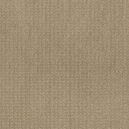 Shaw Floors Simply The Best Stay Fit Net Honeycomb