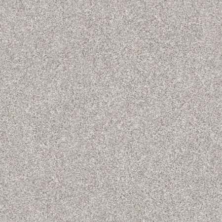 Shaw Floors Simply The Best Make It Mine I Net Clay