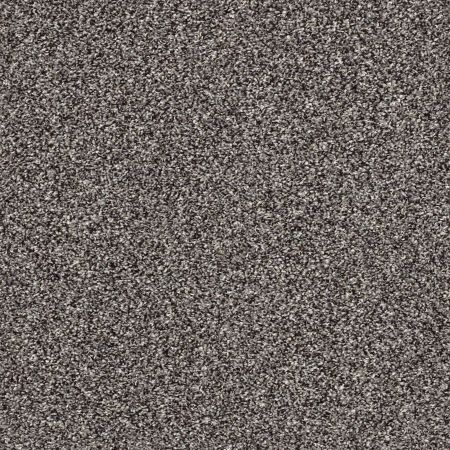 Shaw Floors Simply The Best After It II Net Anchor