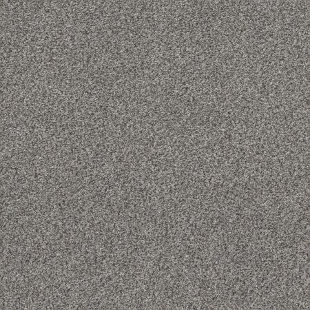 Shaw Floors Simply The Best Within Reach II Net Grey Fox
