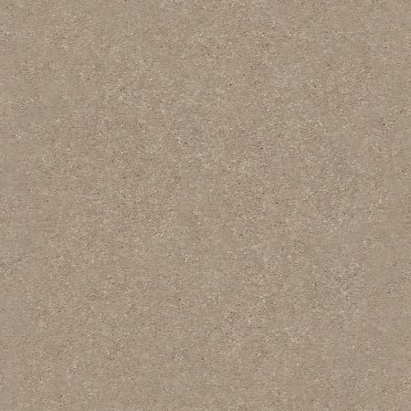 Shaw Floors Simply The Best Solidify II 12 Net Raw Lumber