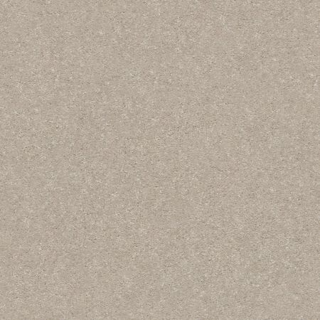 Shaw Floors Simply The Best Solidify II 12 Net Dreamy