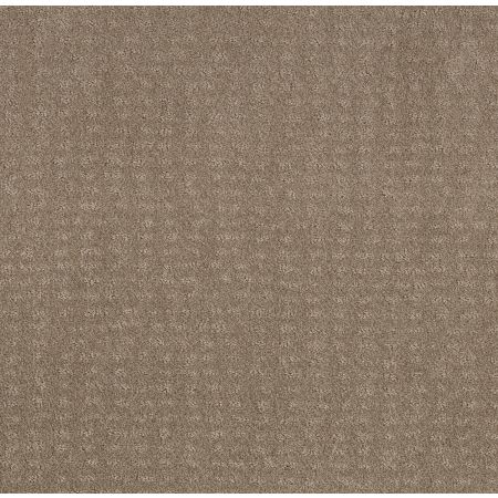 Shaw Floors Foundations Chic Nuance Desert View