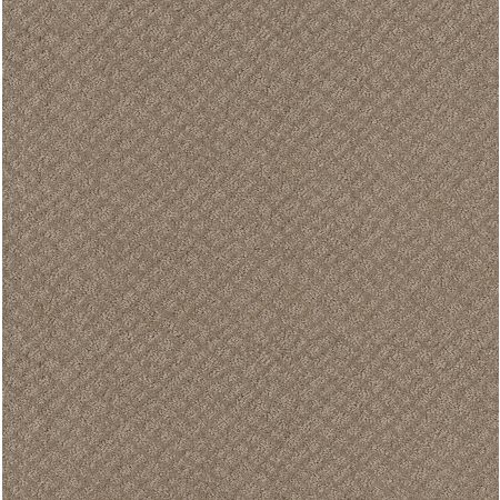 Shaw Floors Foundations Chic Shades Desert View