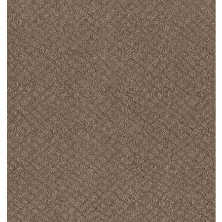 Shaw Floors Foundations Chic Shades Raw Wood