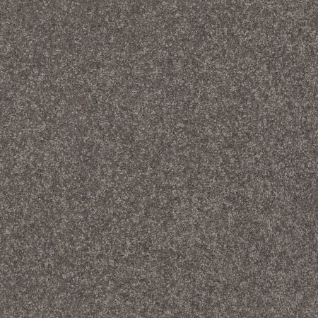 Shaw Floors Value Collections Solidify II 15 Net Pewter