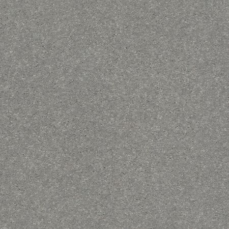 Shaw Floors Value Collections Solidify III 15 Net Dusty Trail