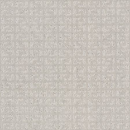 Shaw Floors Simply The Best Vastly Net Stone