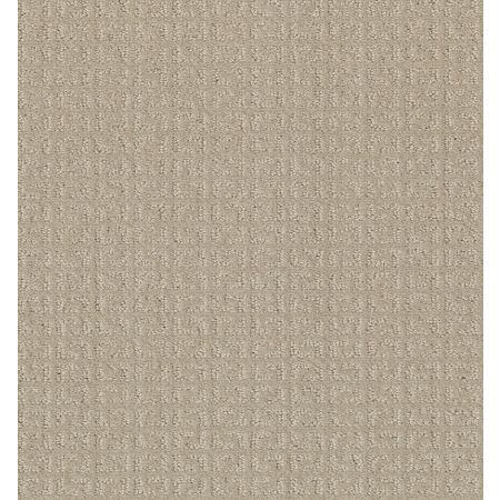 Shaw Floors Simply The Best Transform Net Biscuit