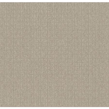 Shaw Floors Simply The Best Transform Net Oatmeal