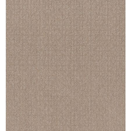 Shaw Floors Simply The Best Transform Net Fresh Baked