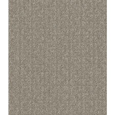 Shaw Floors Simply The Best Transform Net Fossil