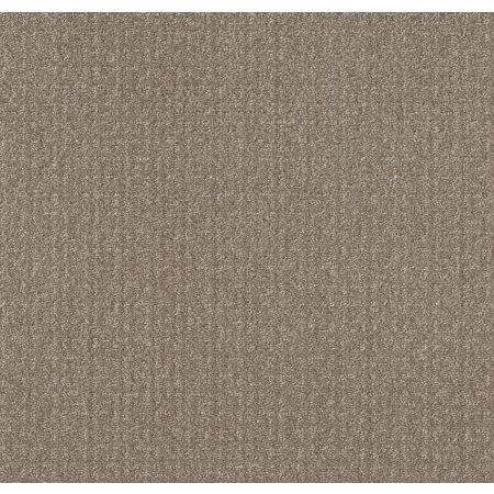 Shaw Floors Simply The Best Transform Net Simply Tan