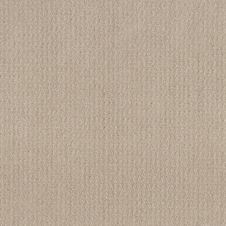 Shaw Floors Simply The Best Translate Net Biscuit