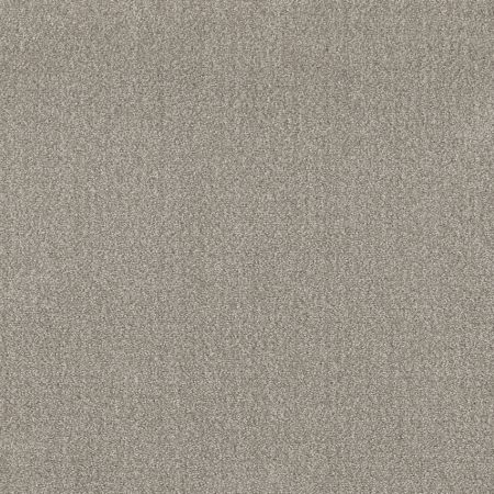 Shaw Floors Simply The Best Translate Net Fossil