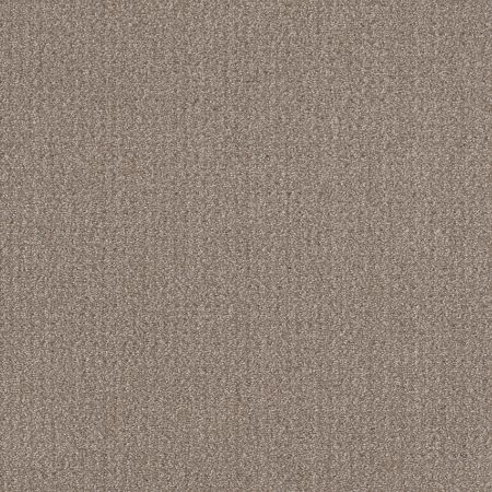 Shaw Floors Simply The Best Translate Net Simply Tan