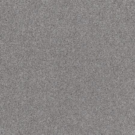 Shaw Floors Pet Perfect Plus Calm Serenity I Net Silver Lining