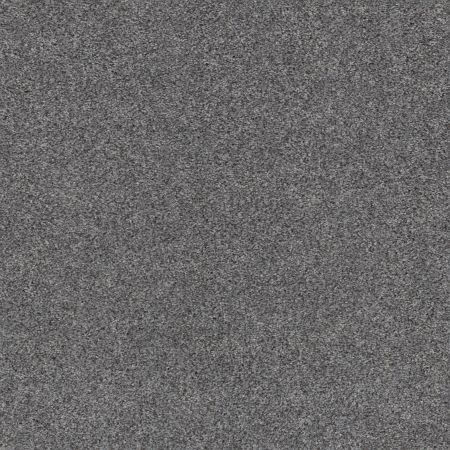 Shaw Floors Pet Perfect Plus Calm Serenity I Net Stormy Breeze